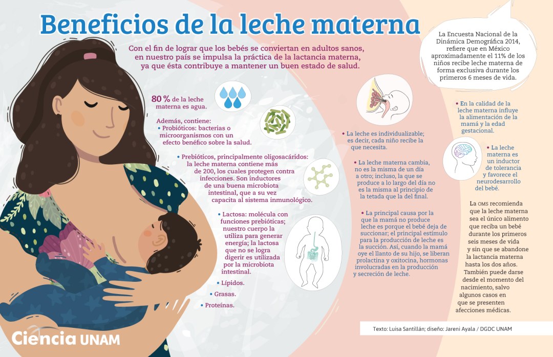 Alimentarse de la botella