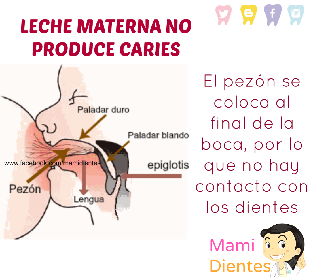 Mujer lactante