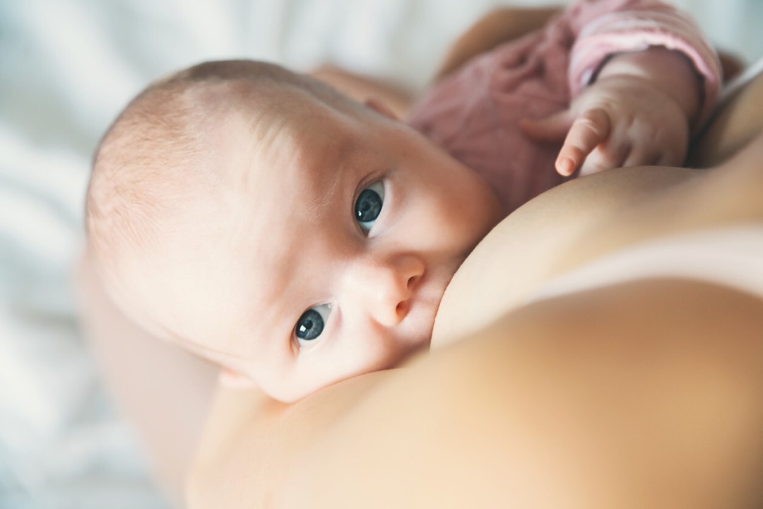 Pechos de chupando para bebés