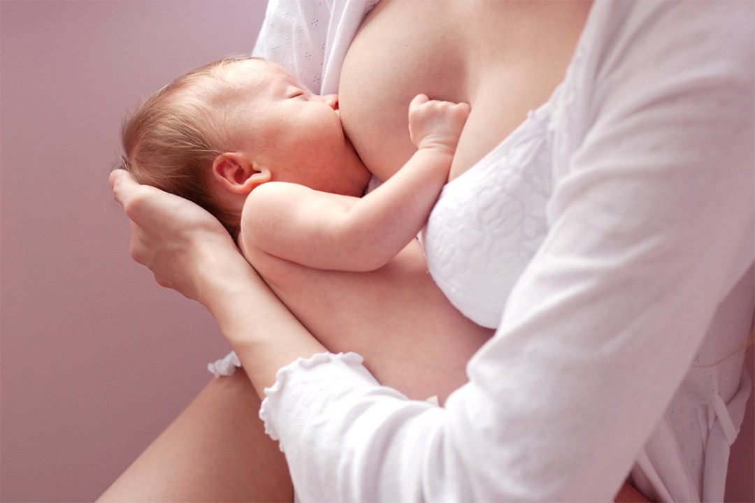 La mujer alimenta al bebé