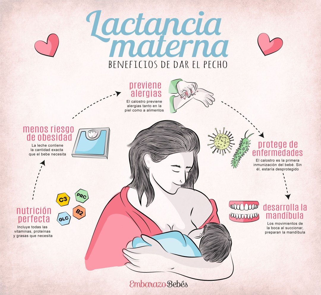 La niña alimenta al gato