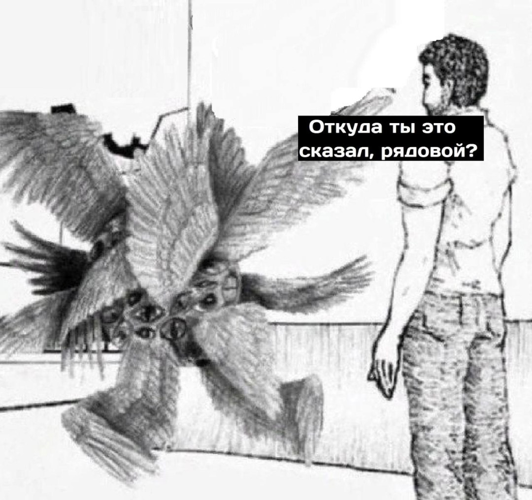¿Dónde dijiste de este meme?