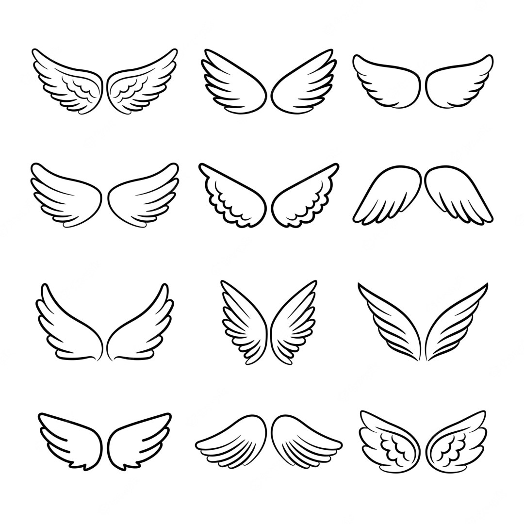 Wings Sketch Mini Tattoo