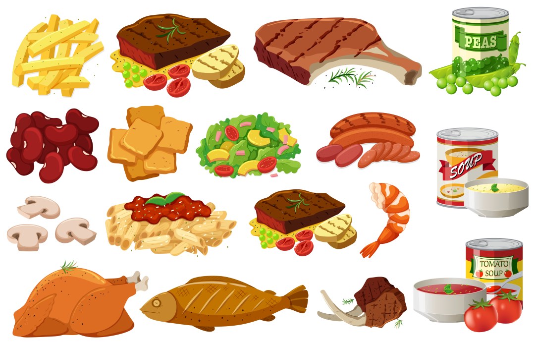 Tipos de comida