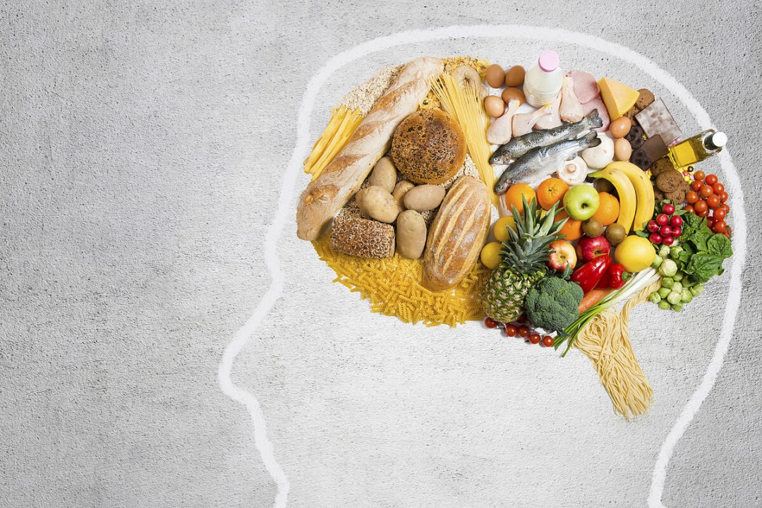 Antecedentes para presentación de alimentos saludables