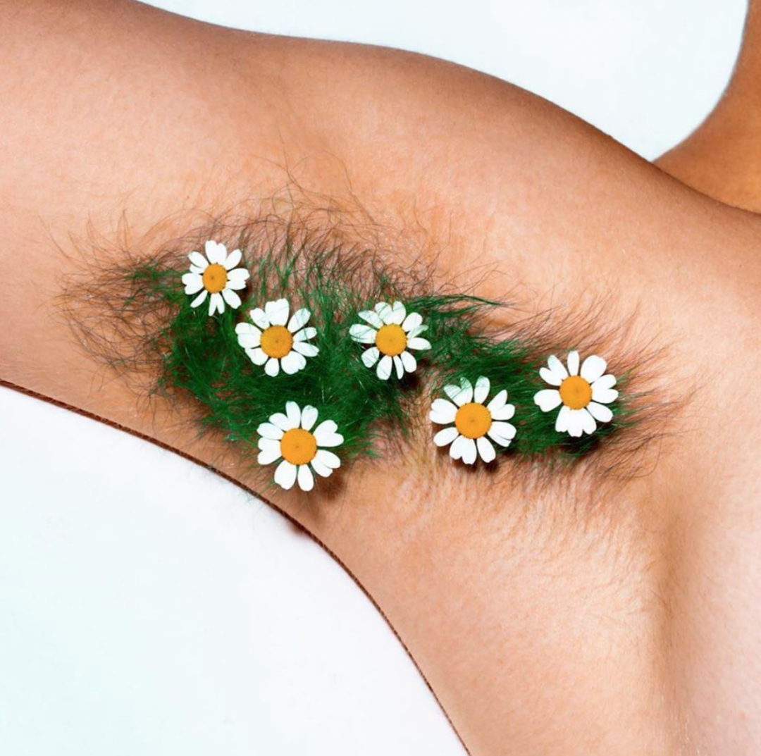 Dulces sobre un fondo transparente