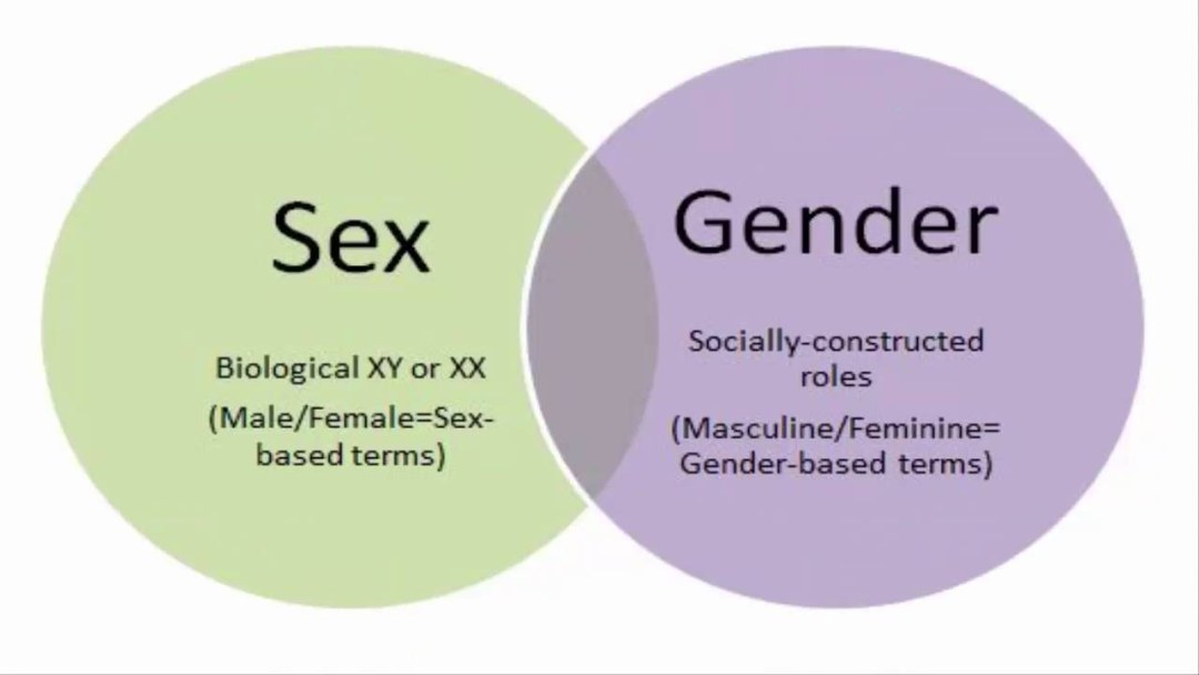 Poses de dibujo divertido