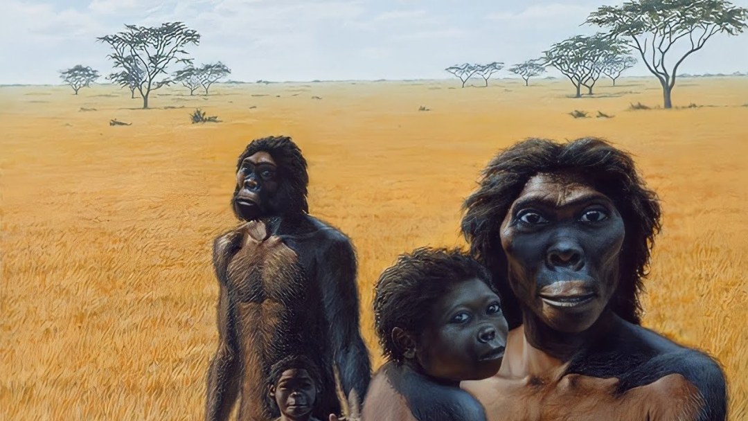 Furri Bollbasting Castric Comics