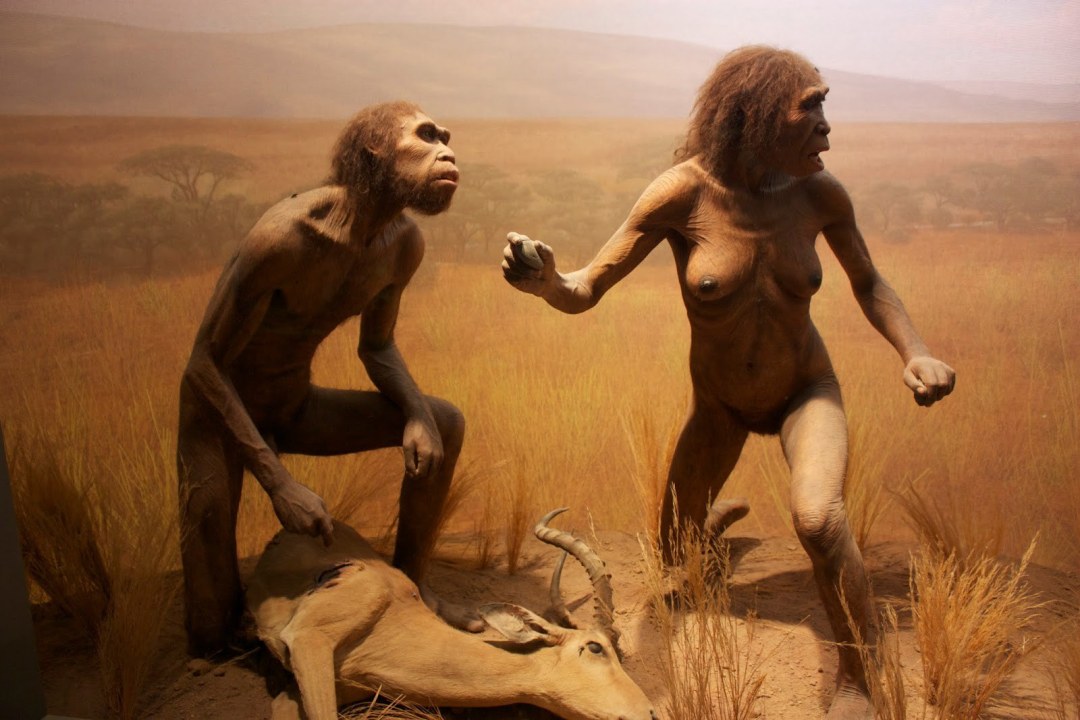 Homo Erectus XXX Actriz 1995