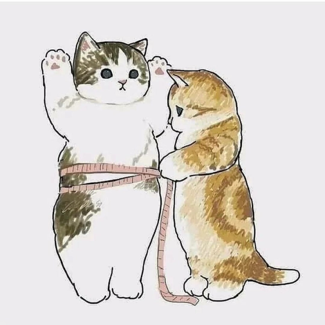 Dime honestamente que soy un gato gordo