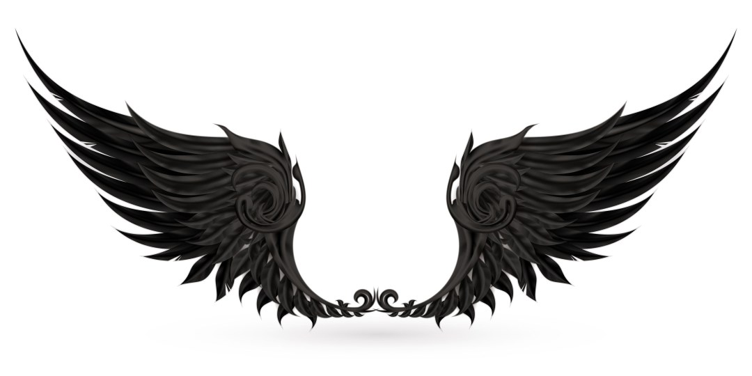 Raven de pájaros de referencia