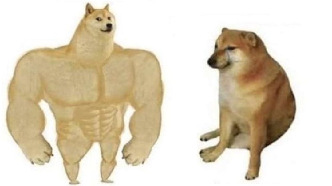 Perro Cheems