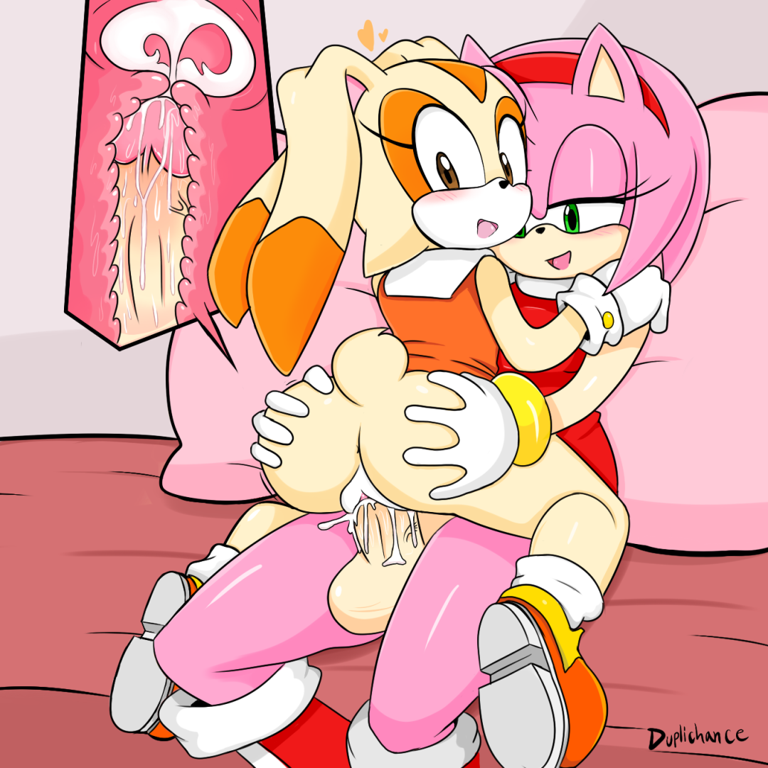 Amy Rose y Sonic Hentai Futa