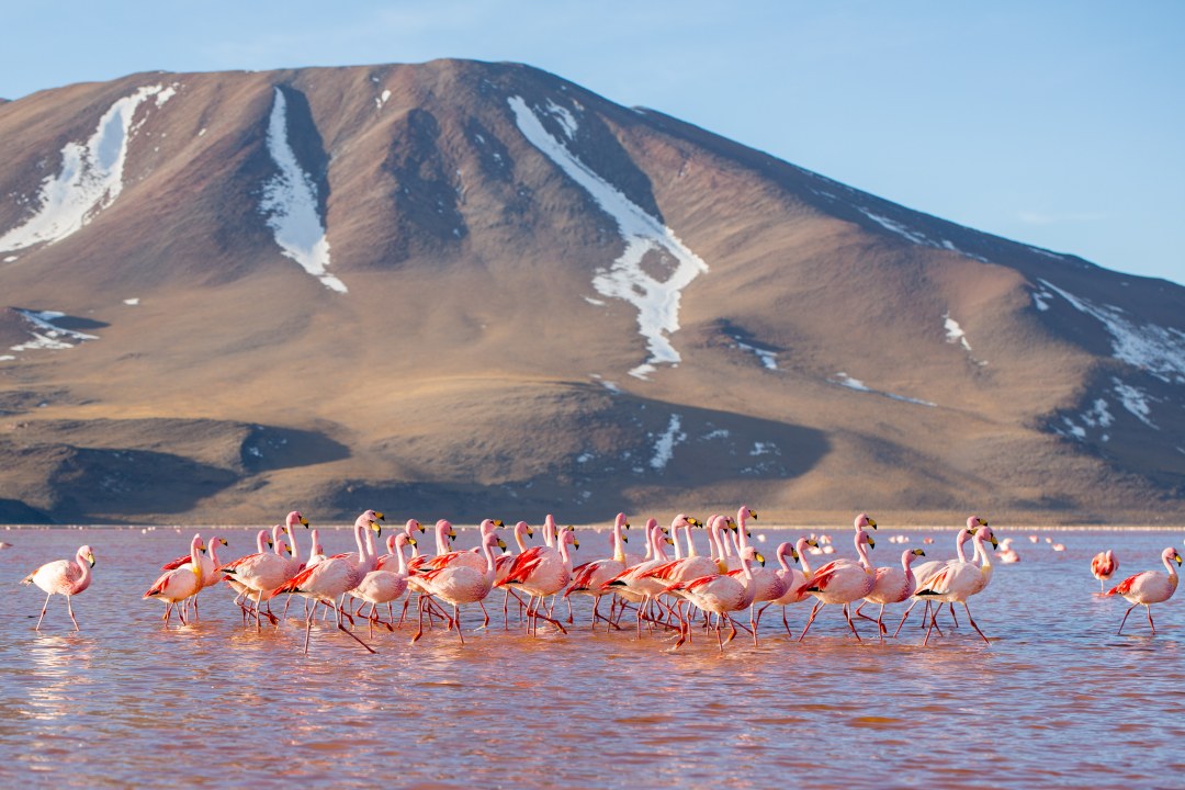 Origen del lago Uyuni