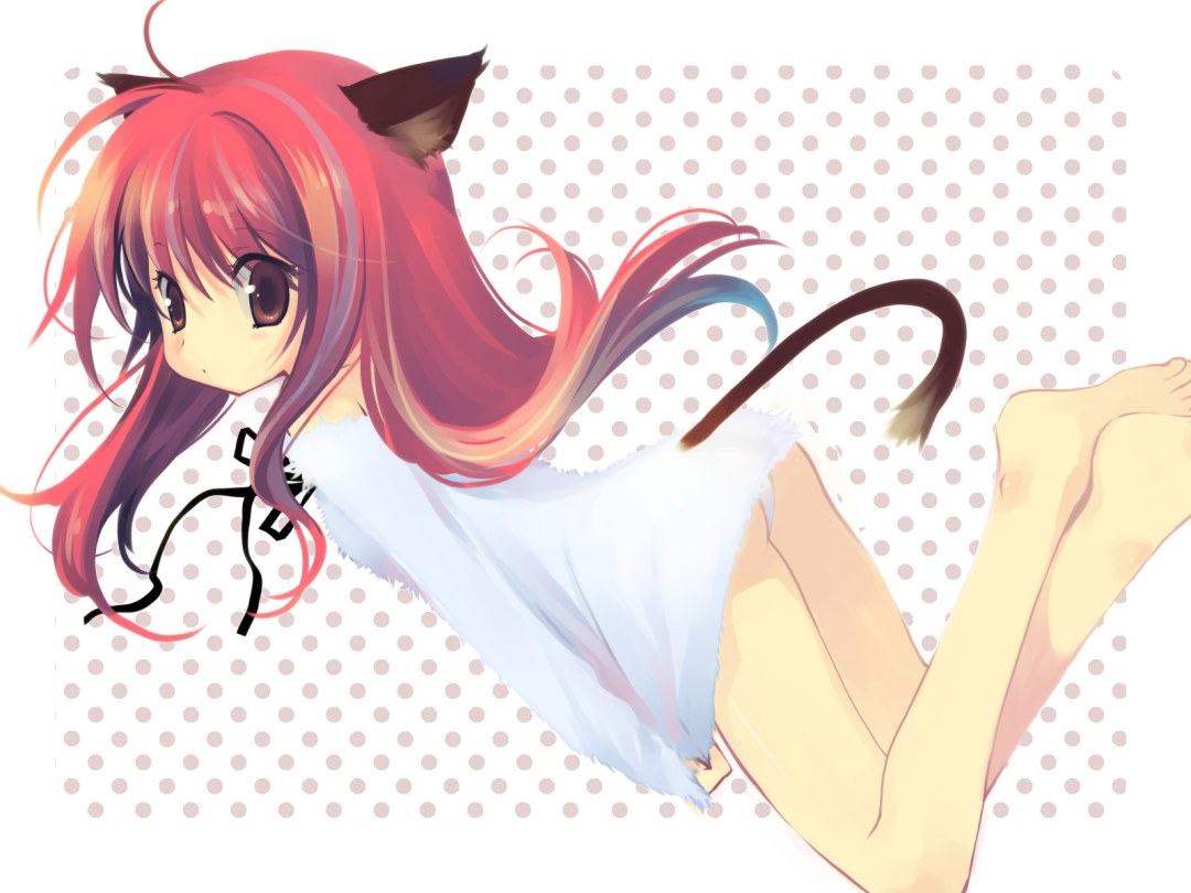 Gato de anime
