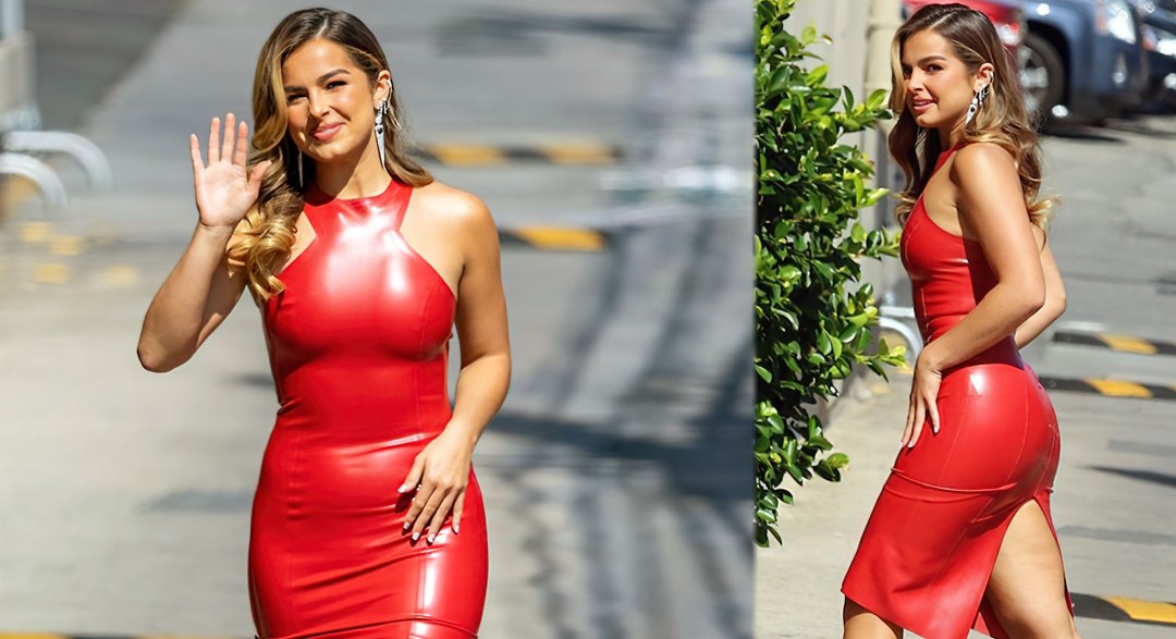 Addisson, también conocido como Lorie en Fever Heavyonhotties
