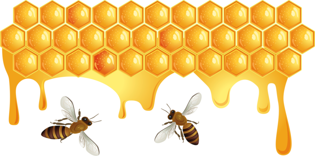 Honey Honeycombs 1140x200