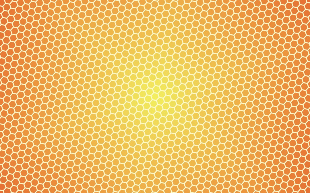 Sot con una abeja