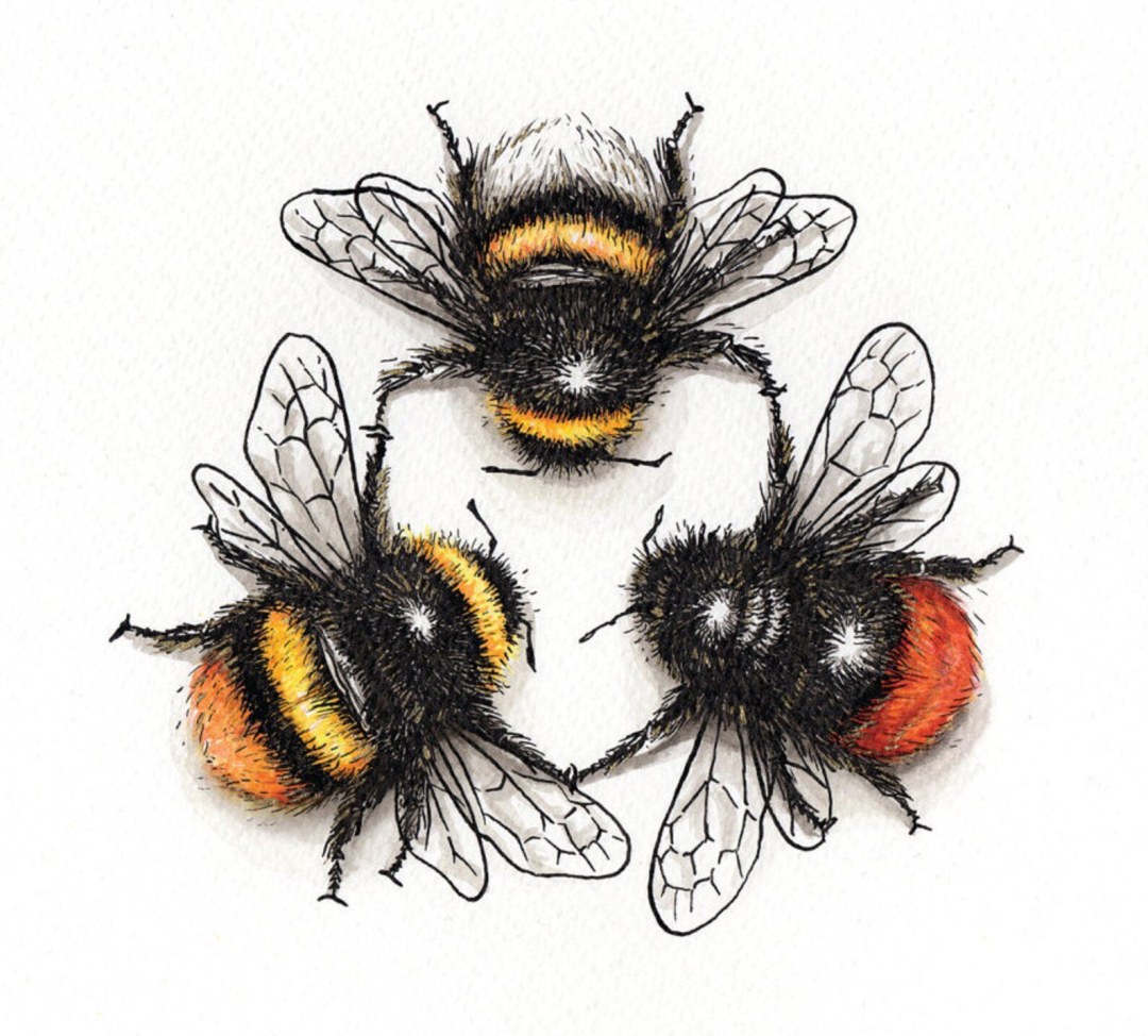 Padres de abeja