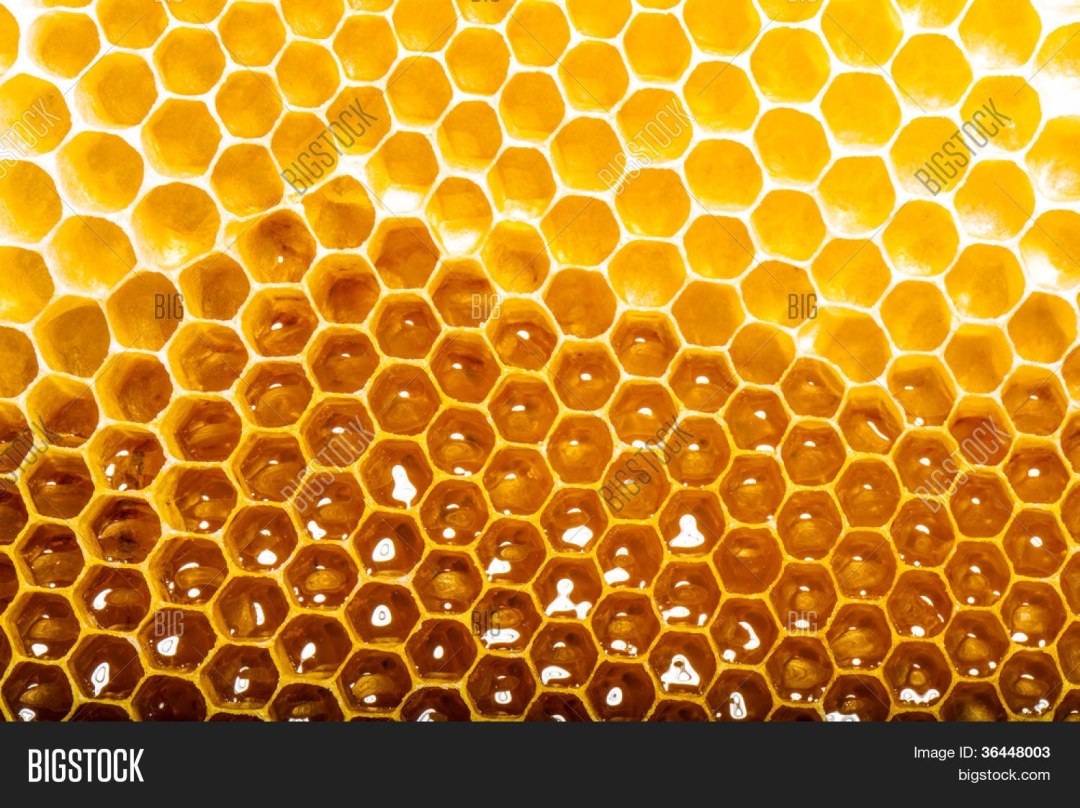 Abeja y banco de miel