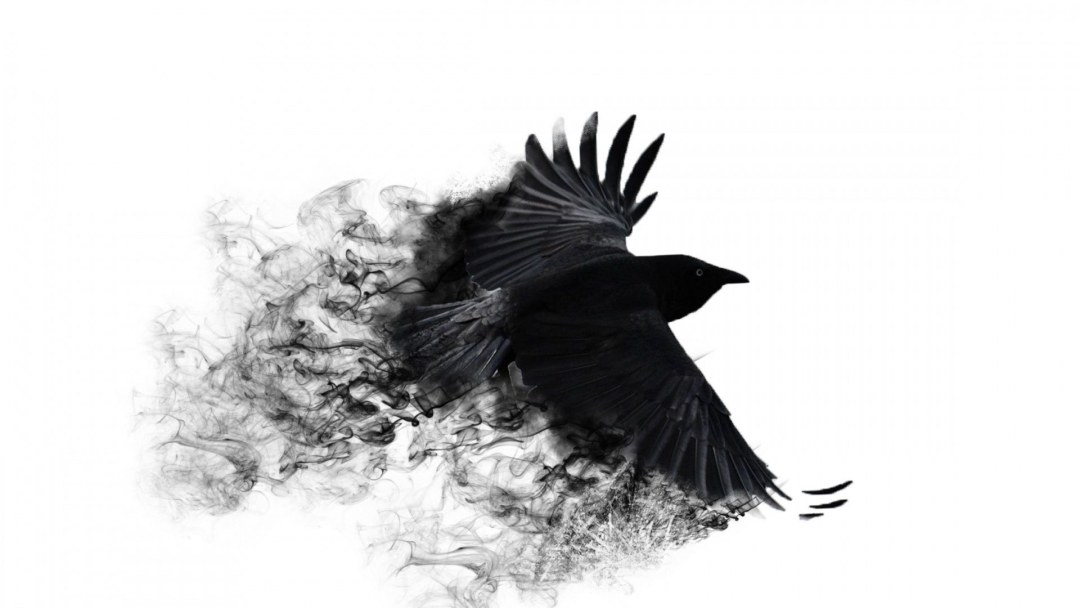 Pájaros sobre un fondo negro