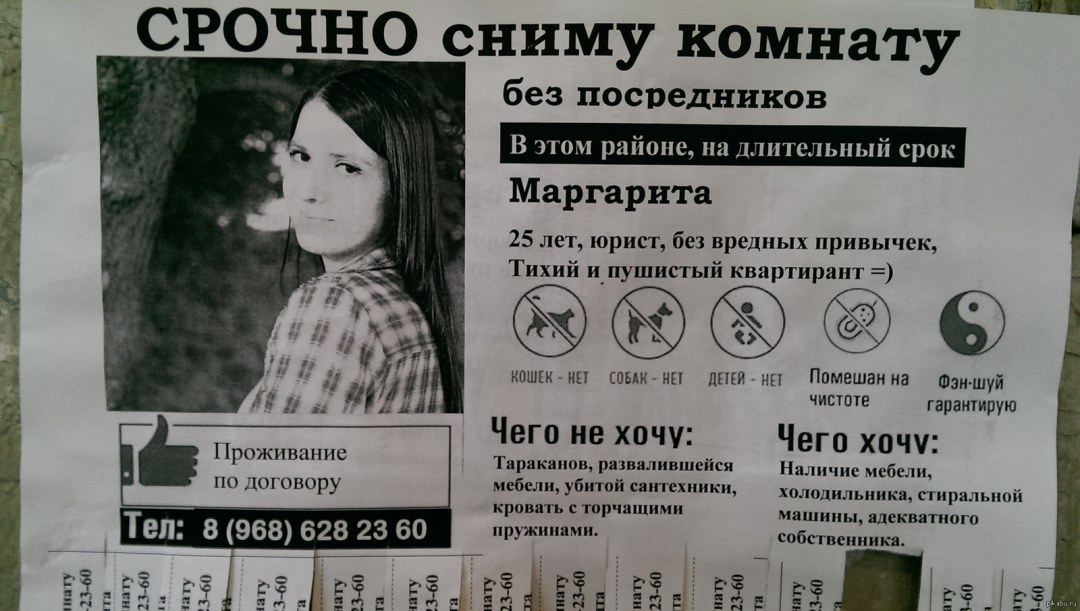 El anuncio alquilará un apartamento