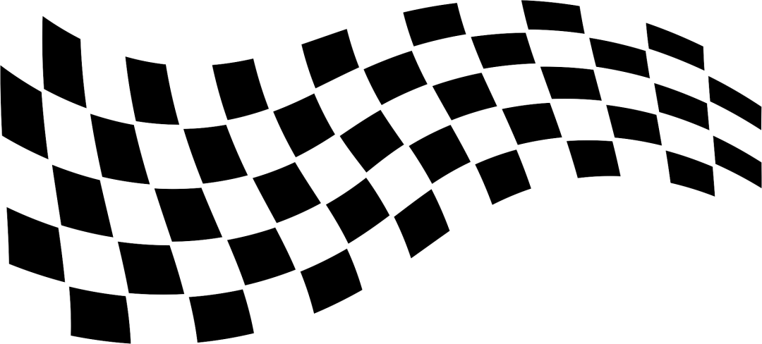 La bandera del vector de checkee