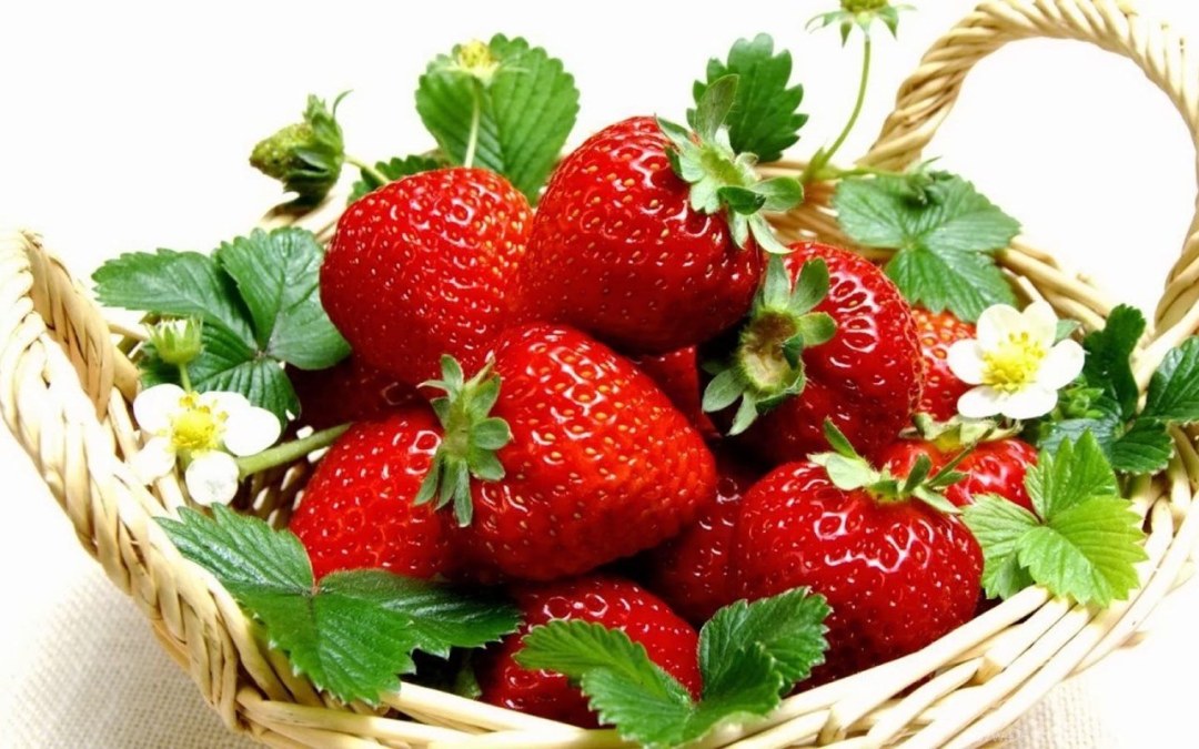 Akemi101xoxo ciruela