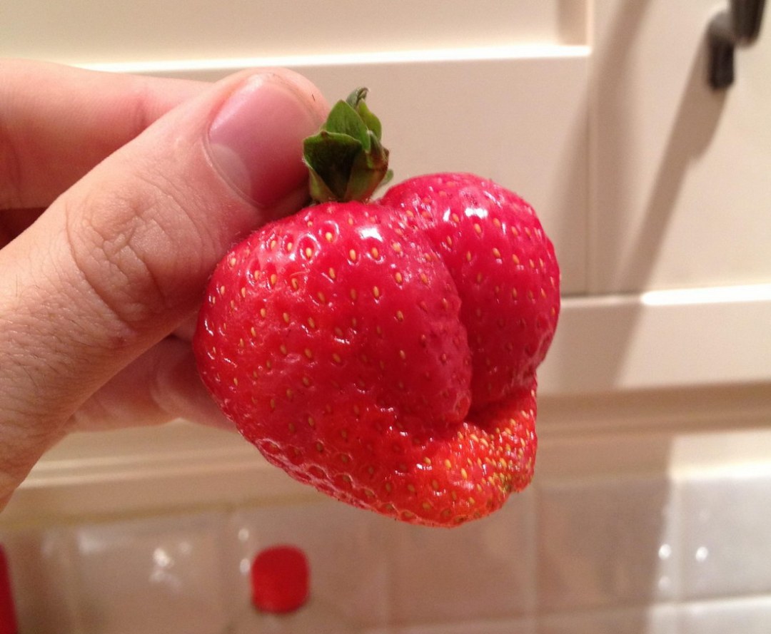 Tráfico de fresa de crema