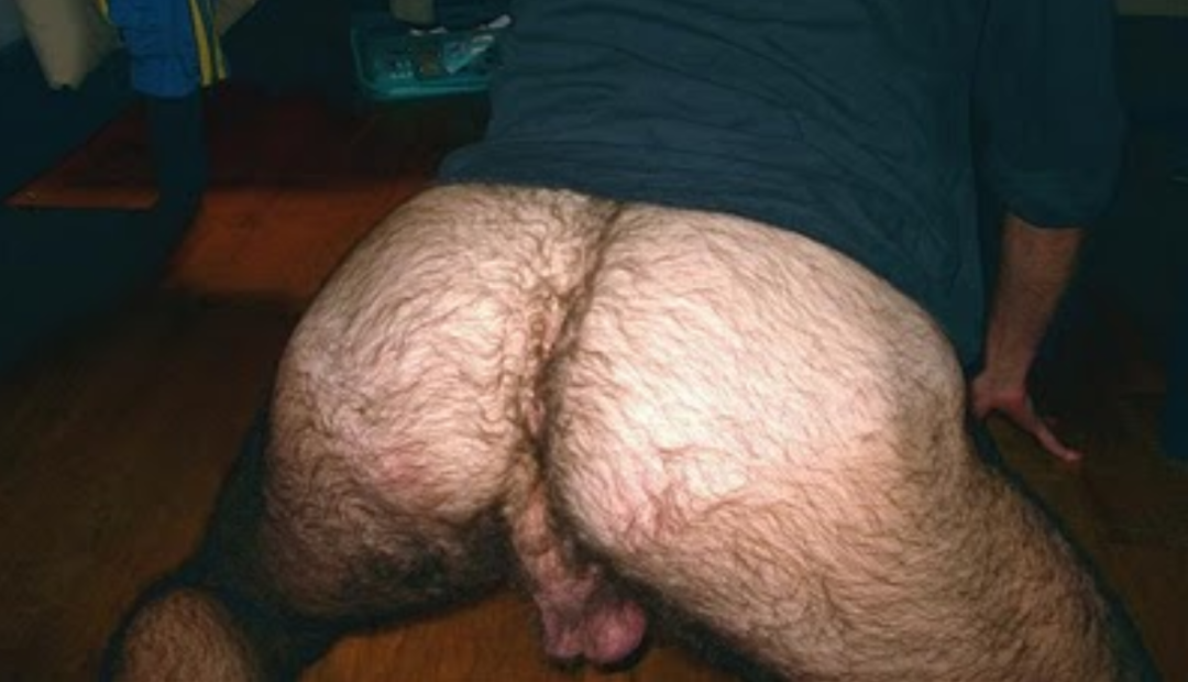 Adulto desnudo peludo