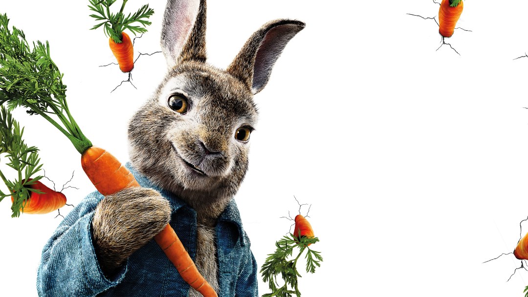 Sweet Bunny Vector