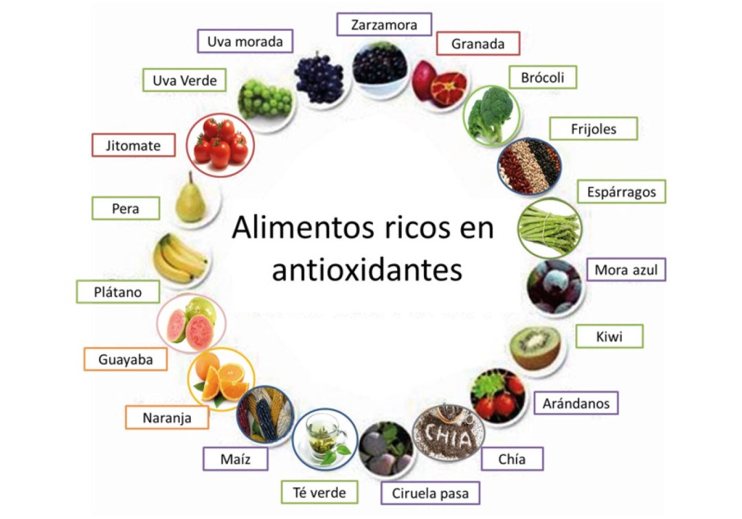Como Bagas Sance Antioxidantes Naturais Traducción al ruso
