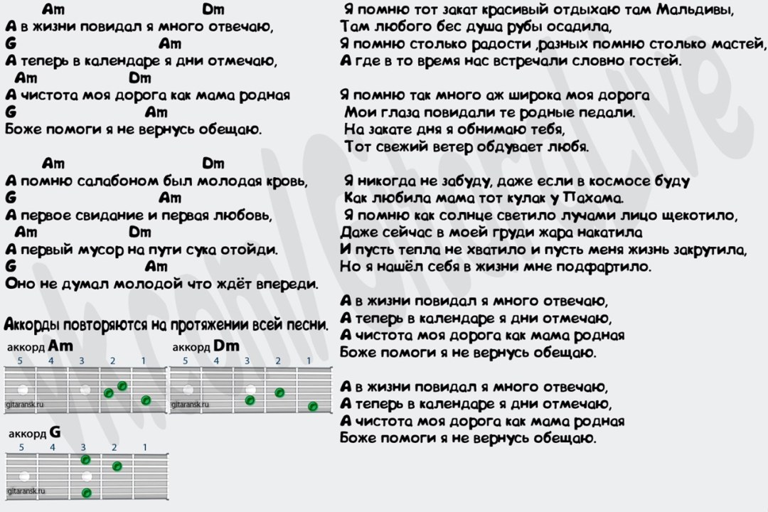 Acordes de sangre jóvenes honestos