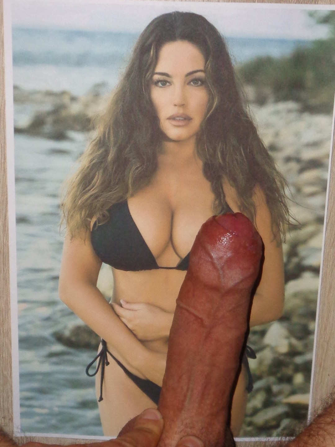 Kelly Brook (Kelly Brok)