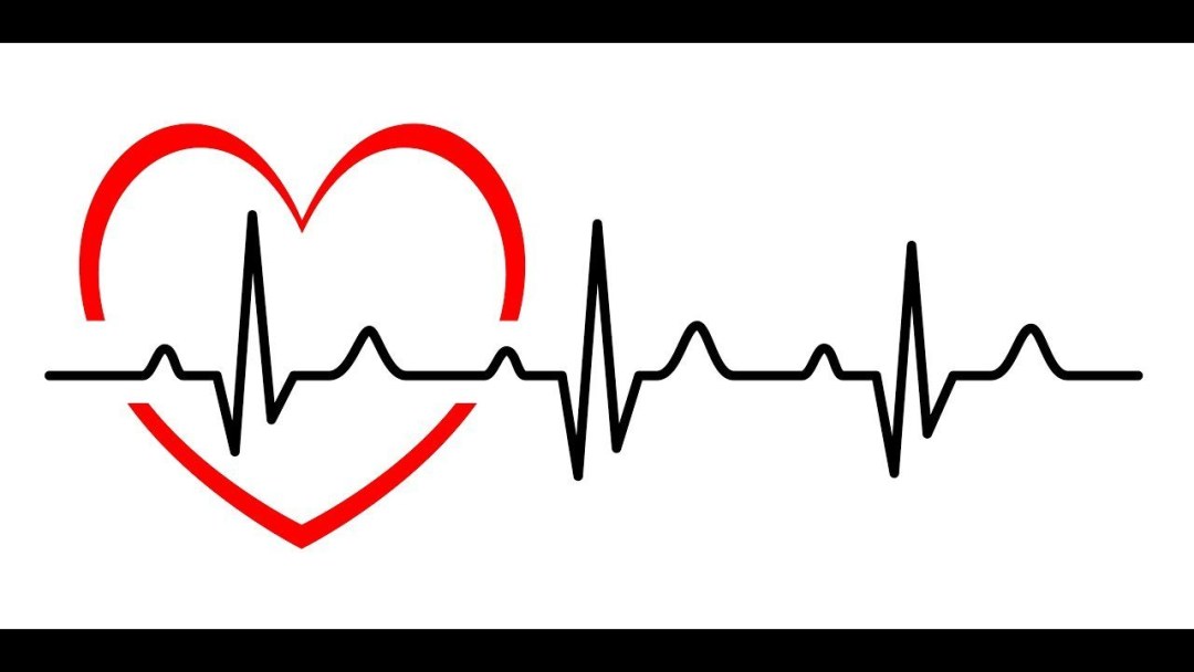 Corazón con un vector de cardiograma
