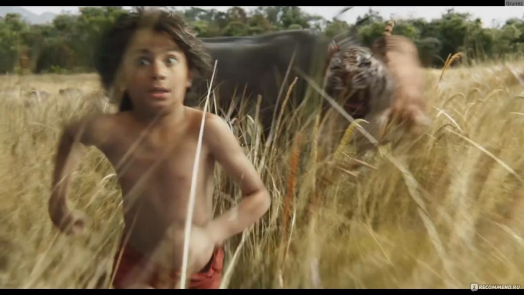 The Lost Film 2003