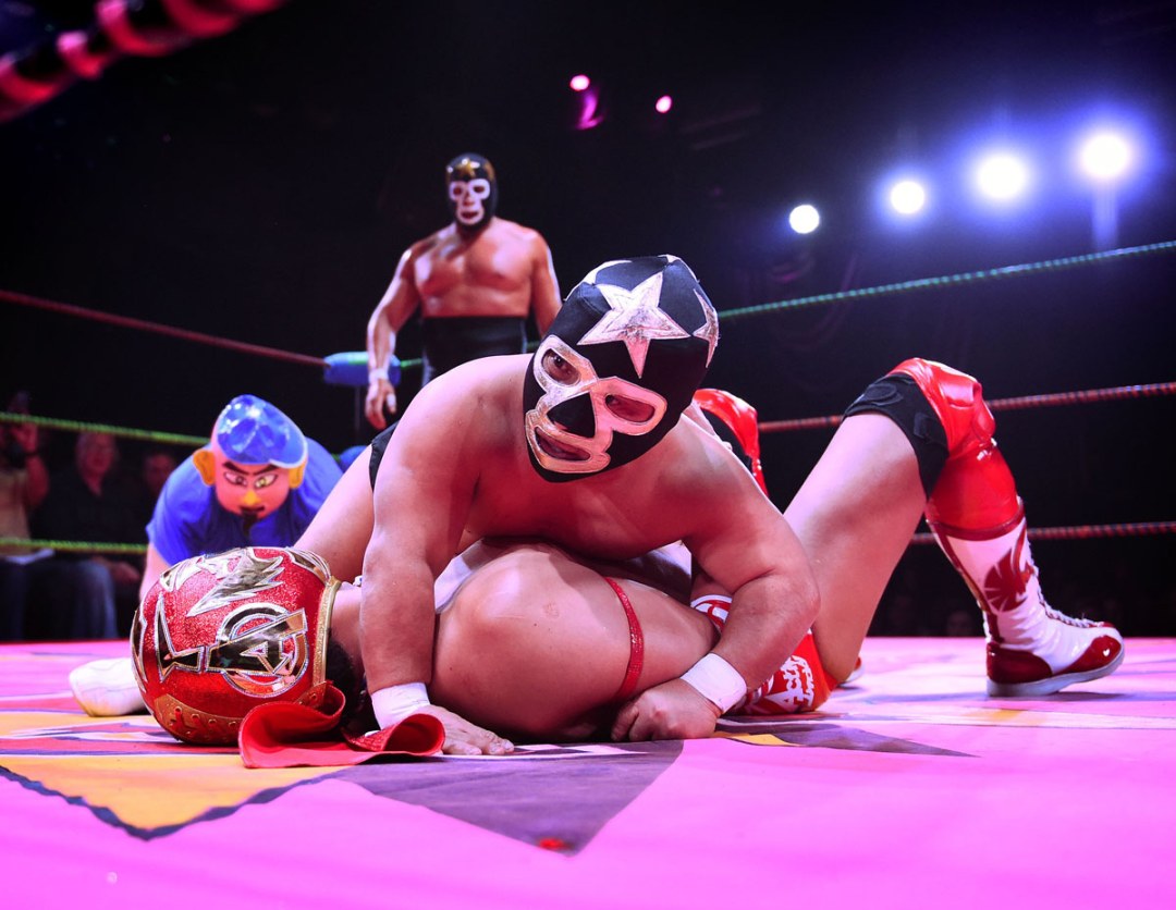 Lucha