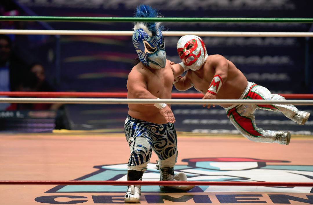 Luchadores Mujer