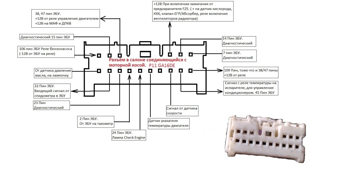 Ursula Korberro Paper House