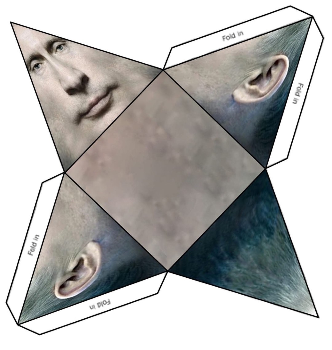 Hunter Biden Drain Biden