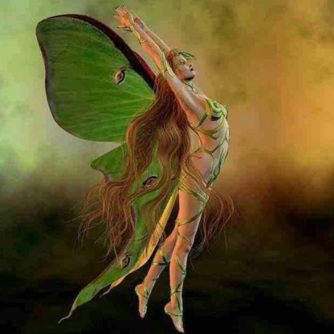 Ilustraciones de Jemlington