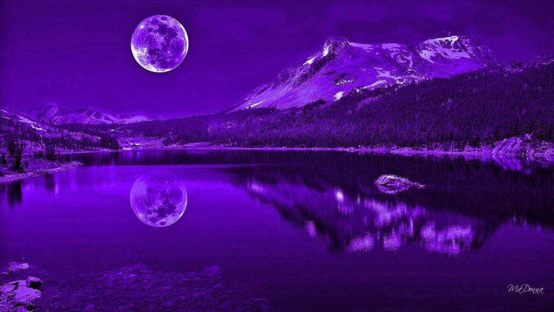 Naturaleza nocturna