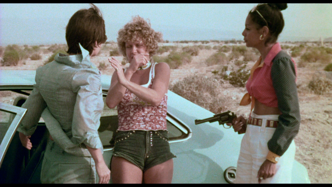 Película Blue Patrol 1974