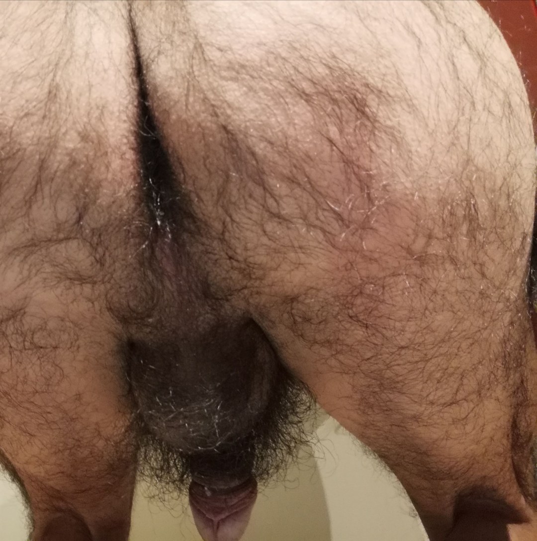Dagestanis en bragas Punto peludo