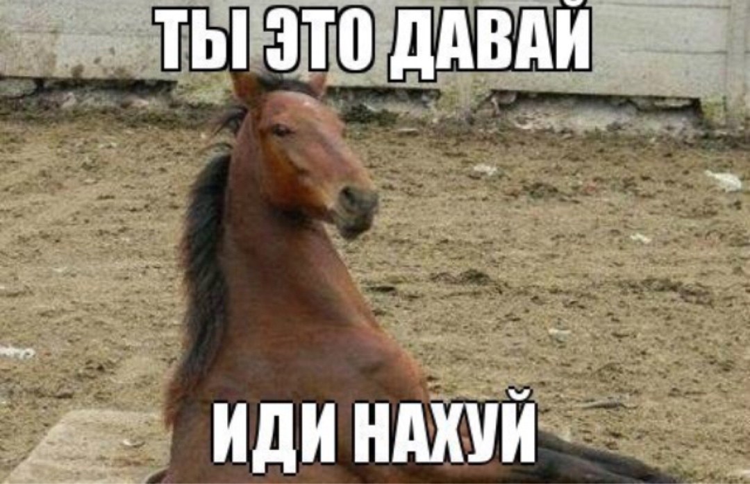 Caballo que vienes
