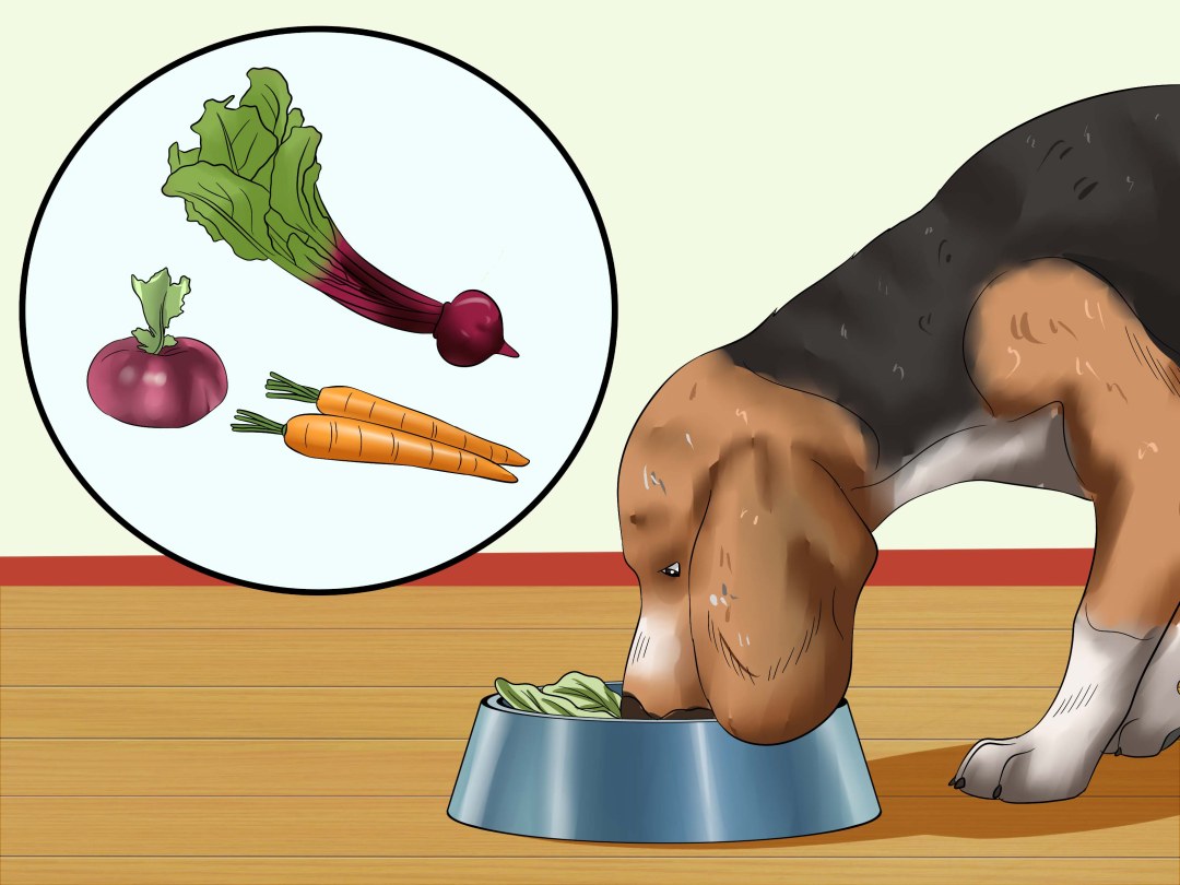 Comida para perros de gusanos