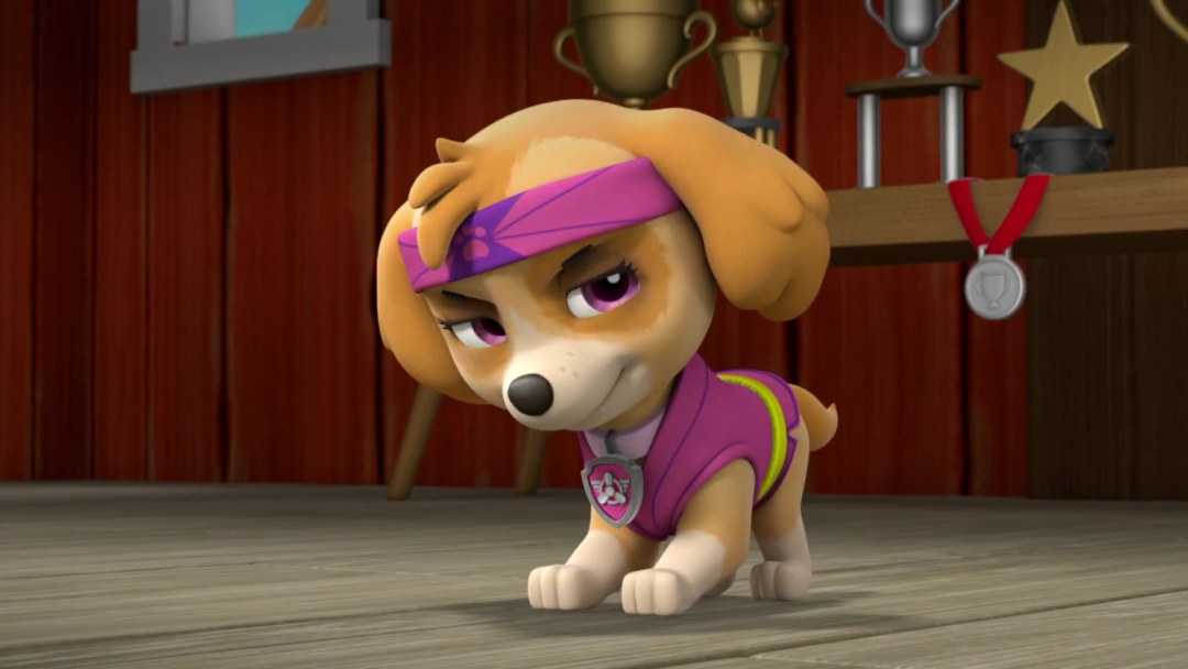 PAW PATROL SKAI