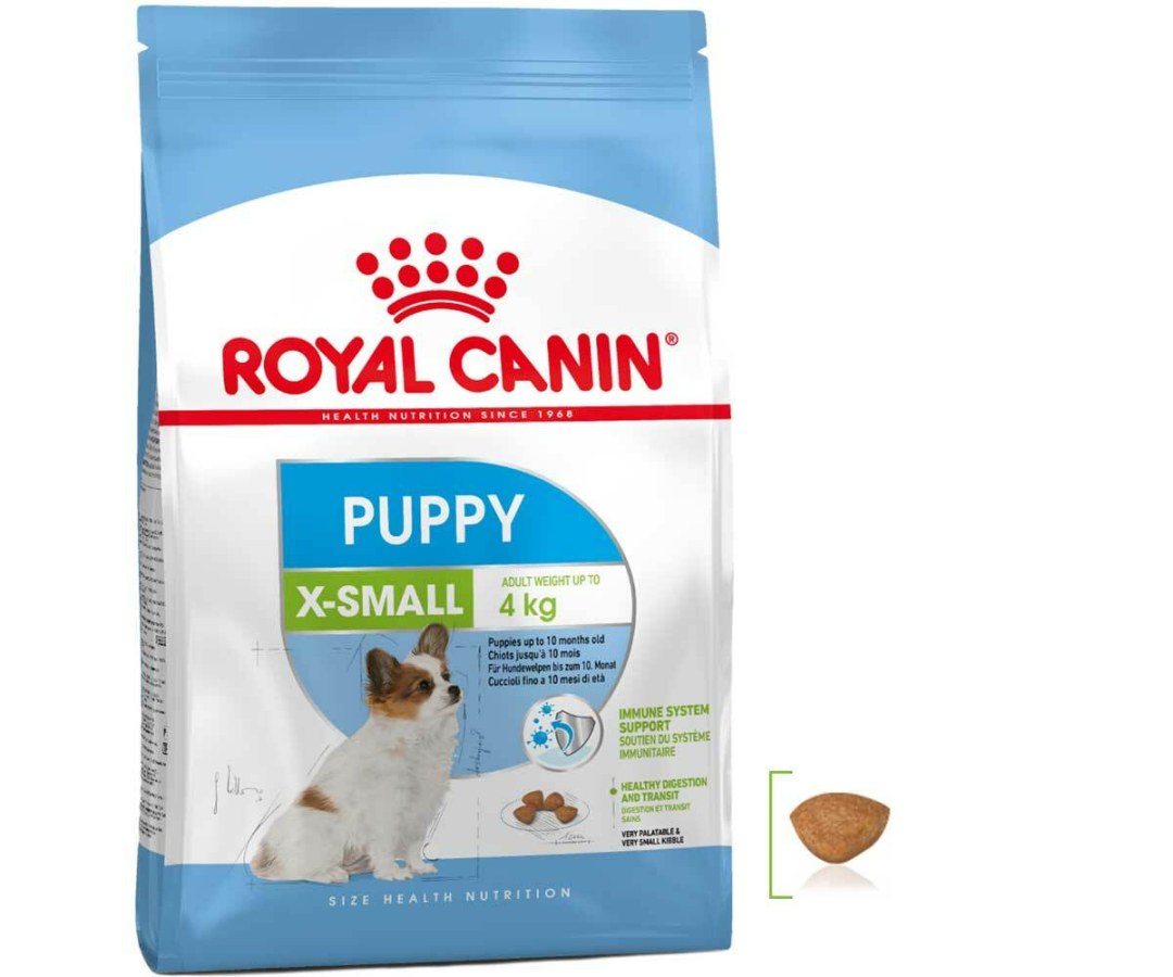 Royal Kanin Mini Pappy alrededor de 8 kg