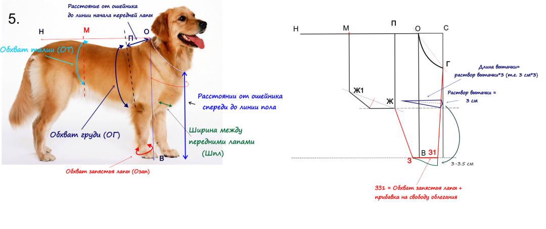 Patrones de ropa para perros de Labador