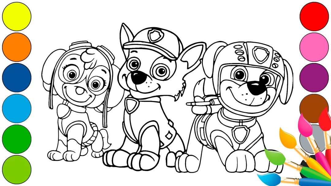Colorante de patrulla de cachorros de sudor